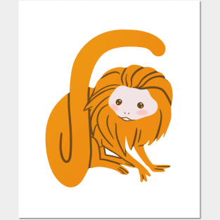 Golden Lion Tamarin Posters and Art
